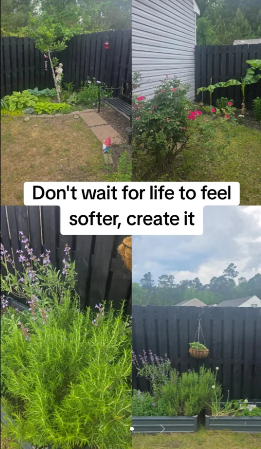 Garden collage with soft life reset text and outdoor greenery.